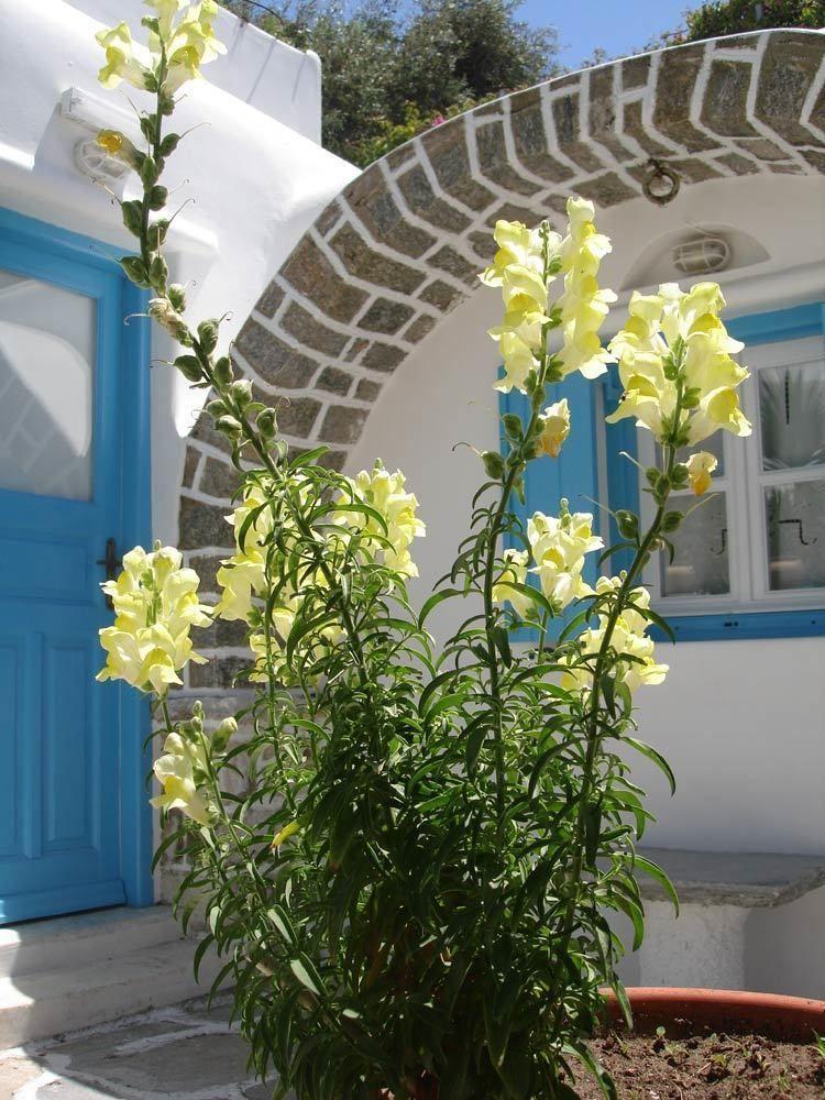 Hotel Philippi Mykonos Town Exterior photo